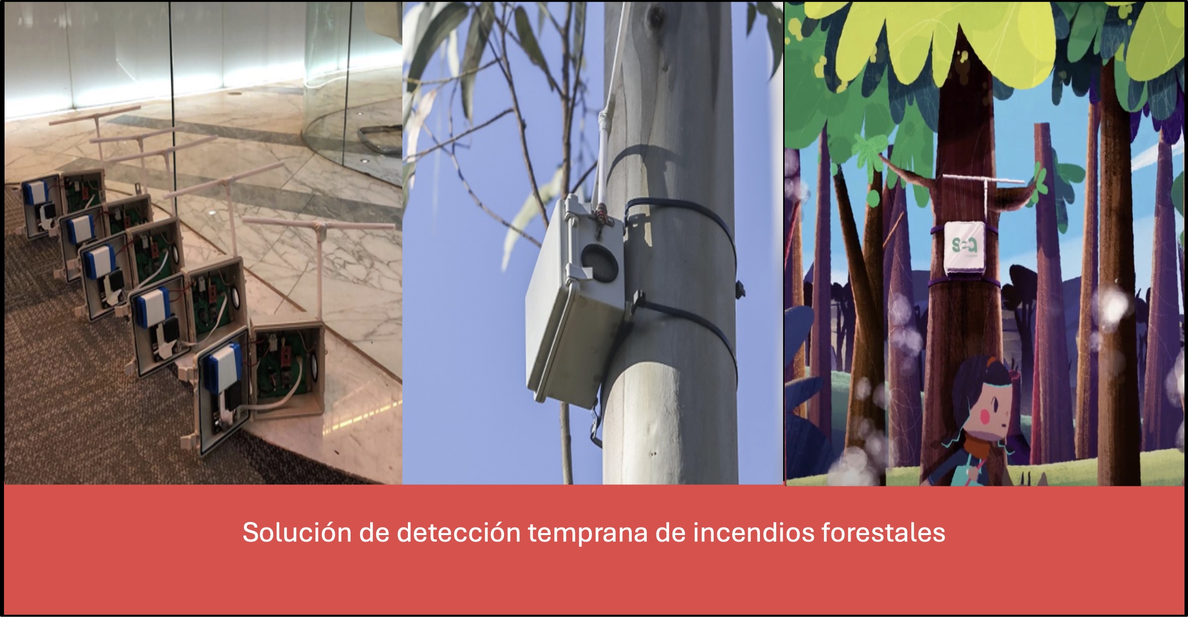 Slide 5